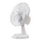 5006-white (2) 1